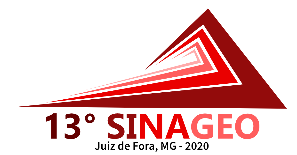 XIII SINAGEO